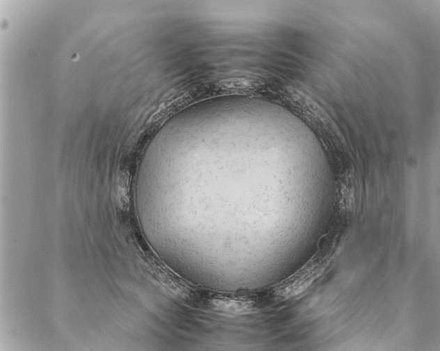 X0000087390561200705042013