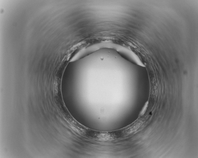 X0000087390562200705042013