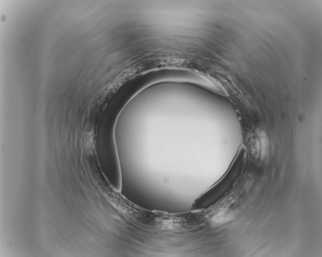 X0000087390564200705042013