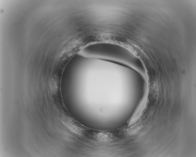 X0000087390566200705042013