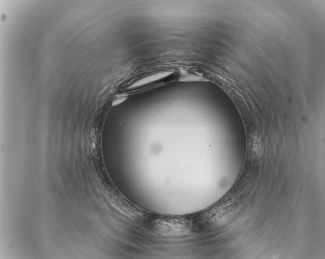 X0000087390567200705042013