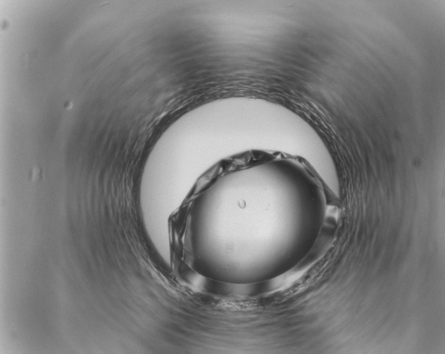 X0000087390568200705042013