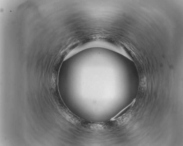 X0000087390572200705042013