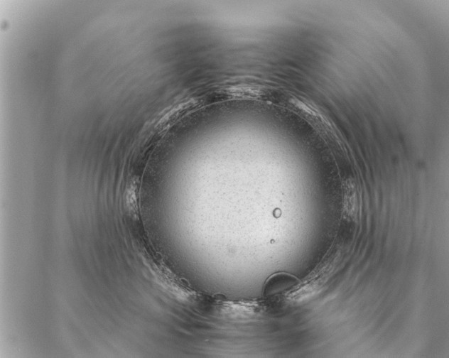 X0000087390573200705042013