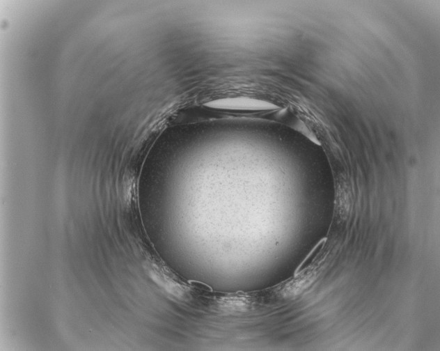 X0000087390574200705042013