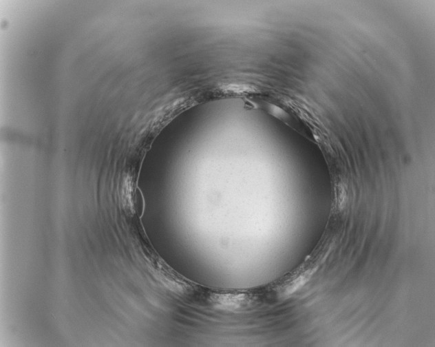 X0000087390575200705042013