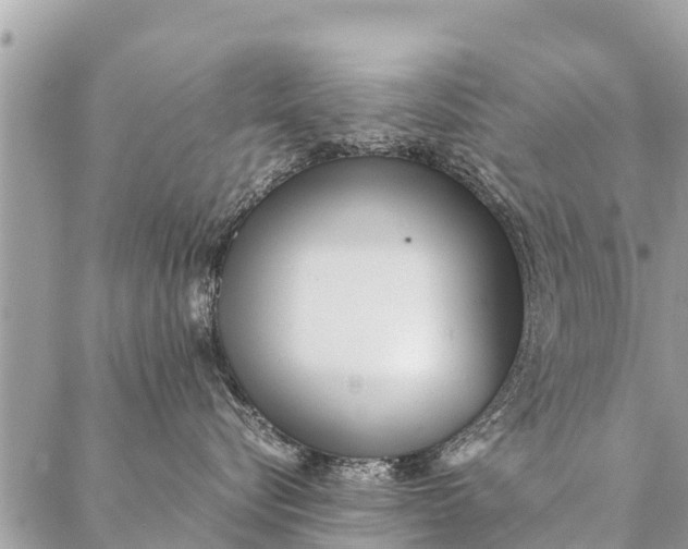 X0000087390576200705042013