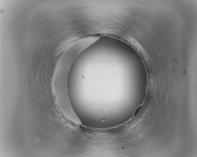 X0000087390577200705042013