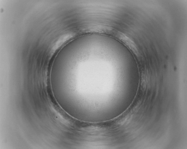 X0000087390578200705042013