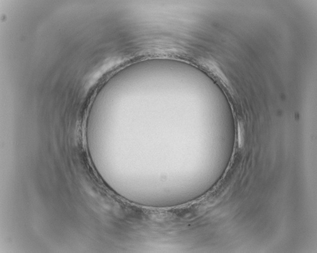 X0000087390579200705042012