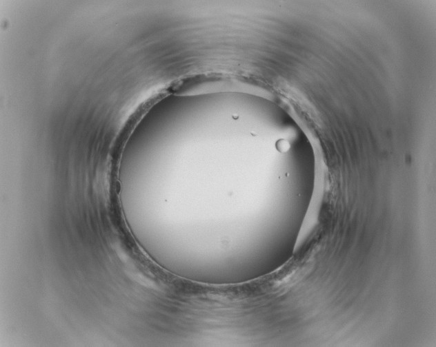 X0000087390580200705042012