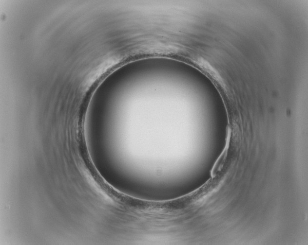 X0000087390581200705042012