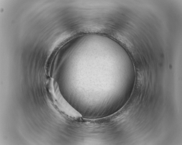 X0000087390582200705042012