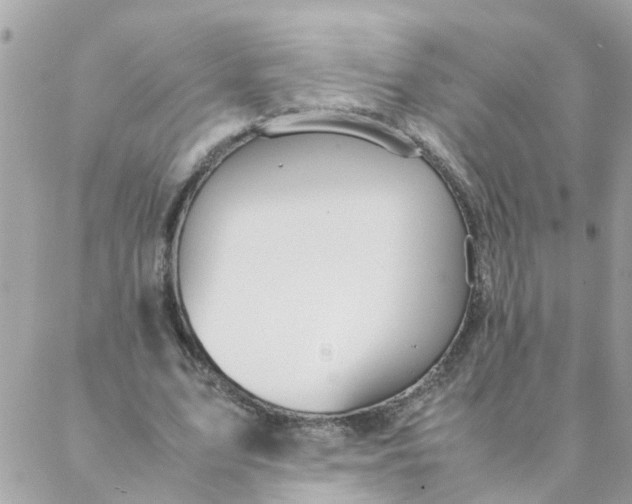 X0000087390583200705042012