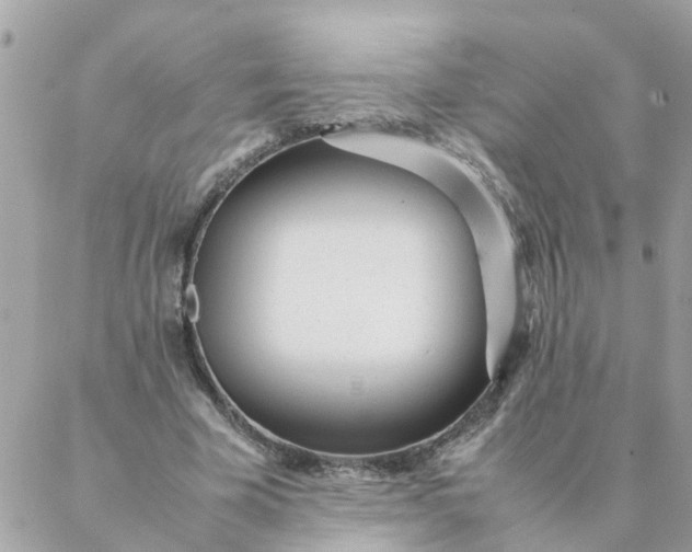 X0000087390585200705042012