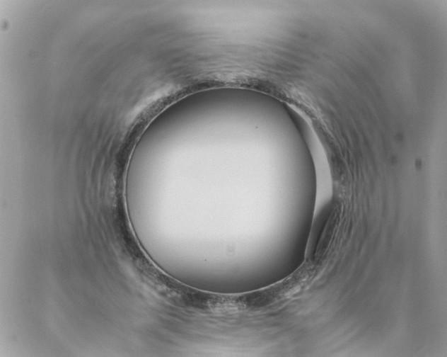 X0000087390587200705042012