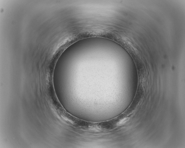 X0000087390591200705042012