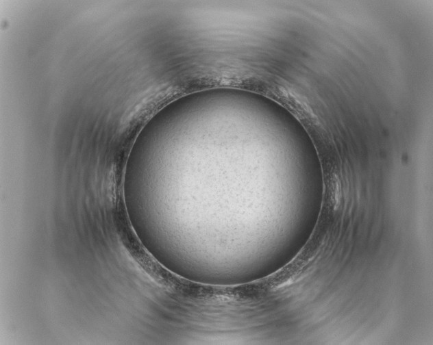 X0000087390594200705042012