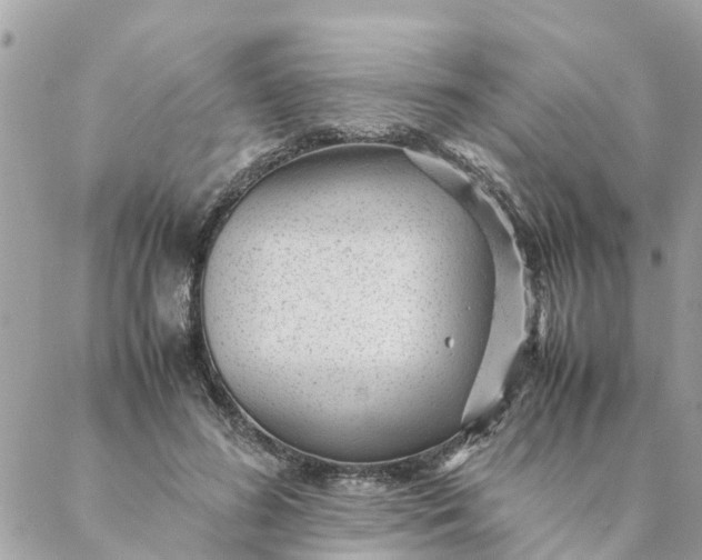 X0000087390596200705042012