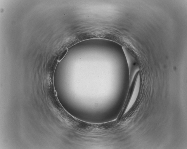 X0000087390597200705042012