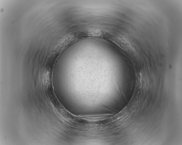 X0000087390598200705042012