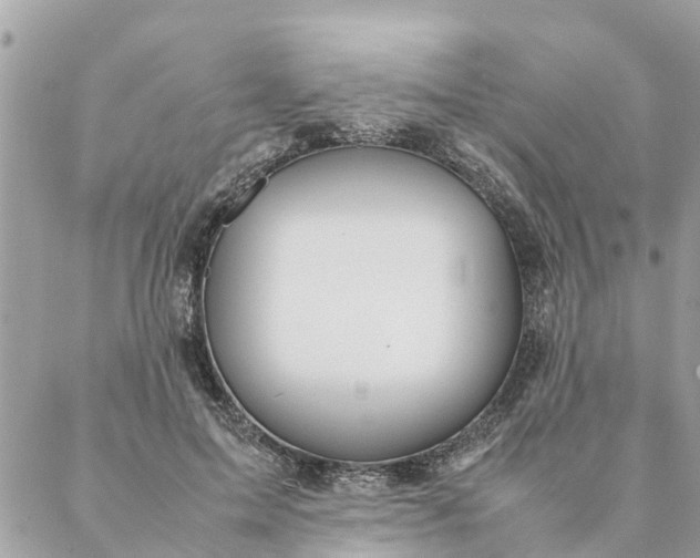 X0000087390599200705042012