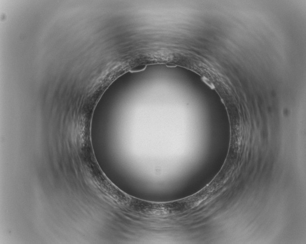 X0000087390600200705042012