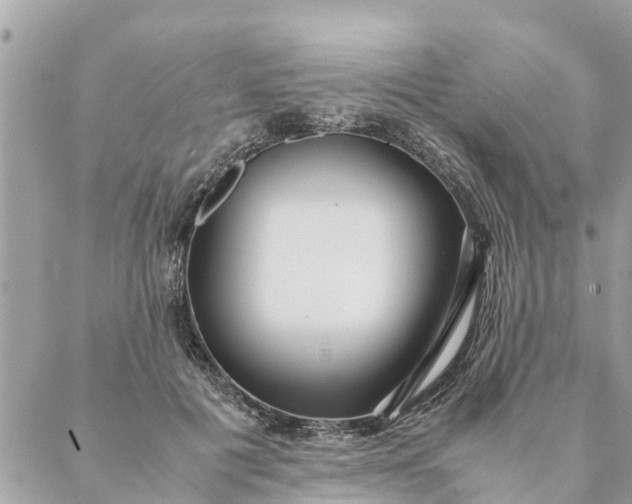 X0000087390601200705042012