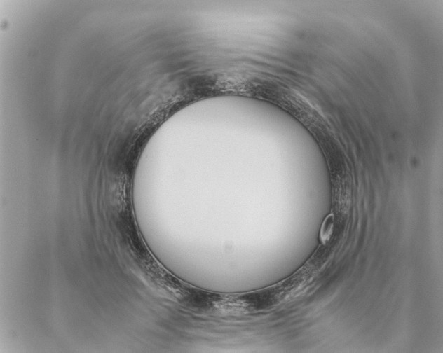 X0000087390603200705042012