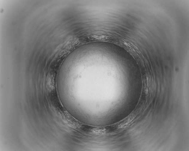 X0000087390606200705042012