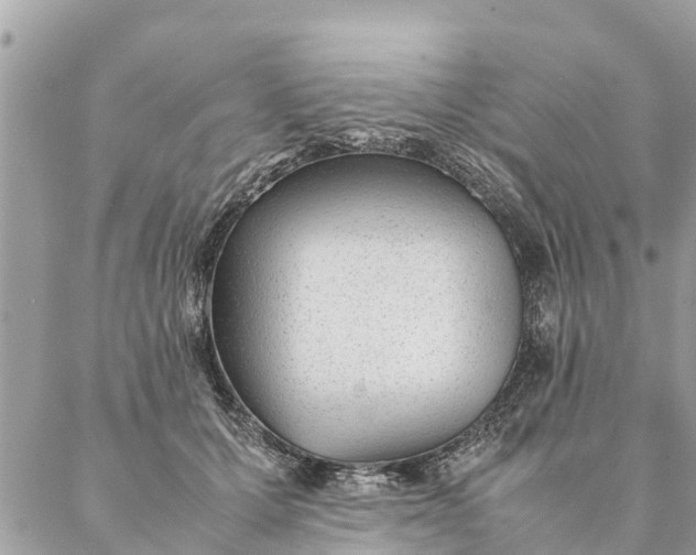 X0000087390607200705042012