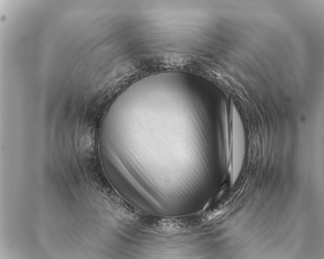 X0000087390608200705042012