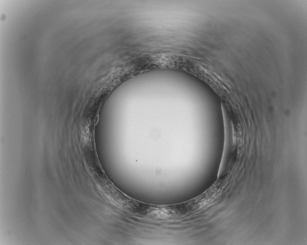 X0000087390611200705042012