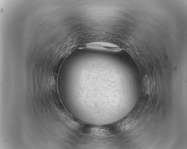 X0000087390614200705042012