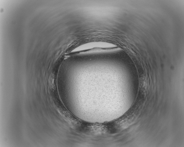 X0000087390615200705042012