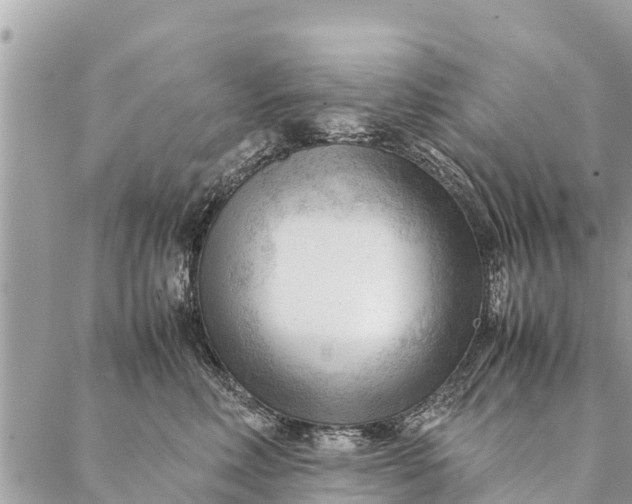 X0000087390618200705042012