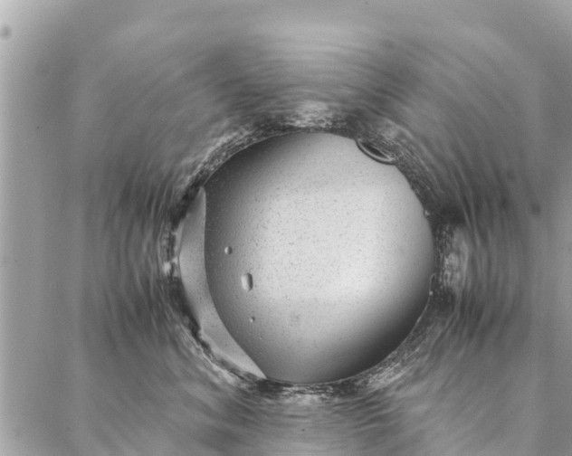 X0000087390620200705042012