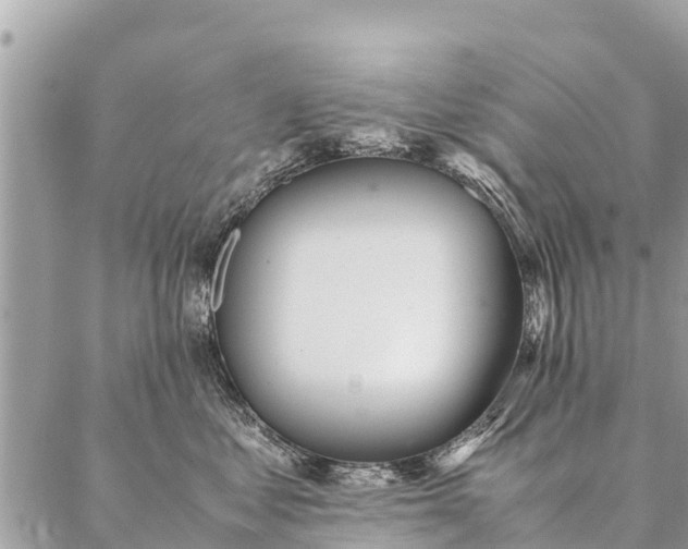 X0000087390621200705042012