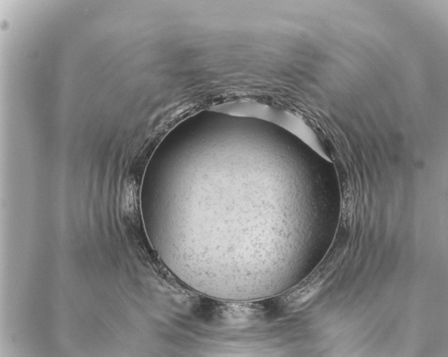 X0000087390623200705042012