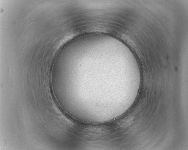 X0000087390625200705042011