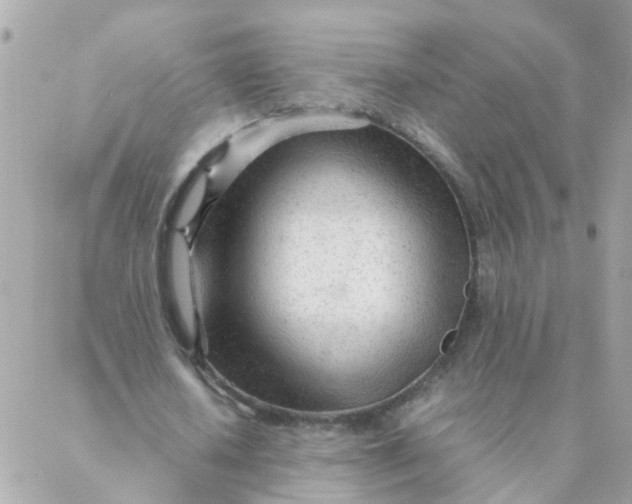 X0000087390626200705042011