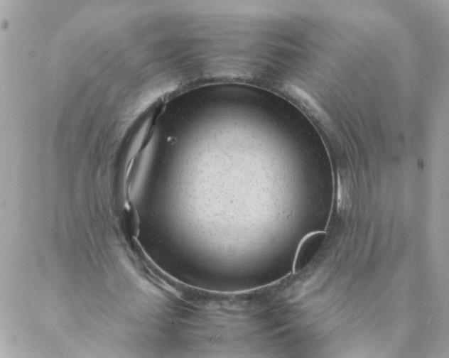 X0000087390627200705042011