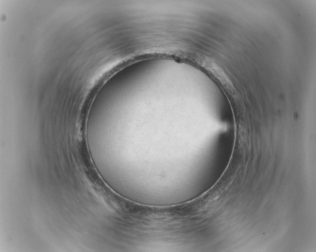 X0000087390628200705042011