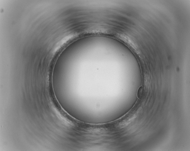 X0000087390629200705042011