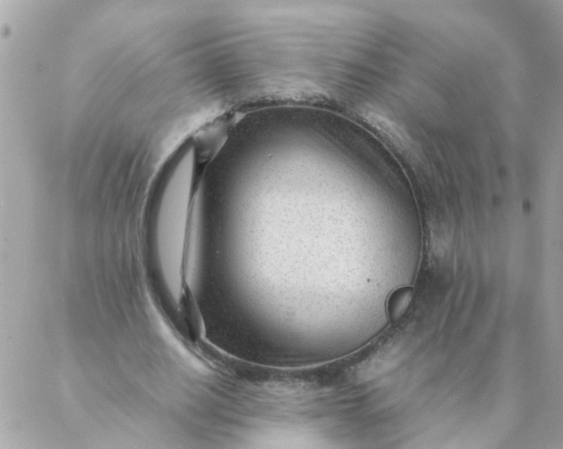 X0000087390630200705042011