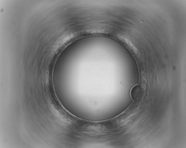 X0000087390631200705042011