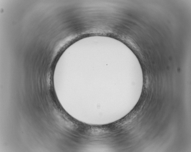 X0000087390632200705042011