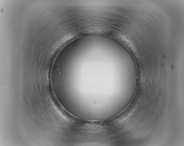 X0000087390633200705042011