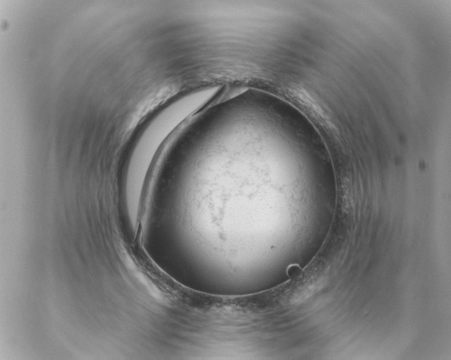 X0000087390634200705042011