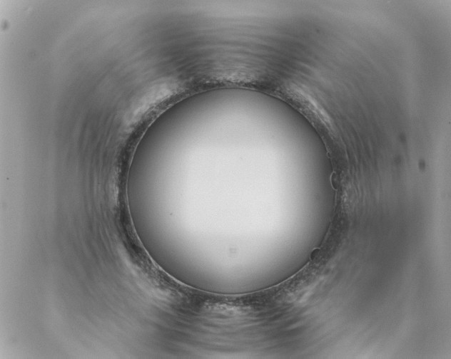 X0000087390635200705042011